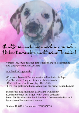 Swurf Rüde sucht