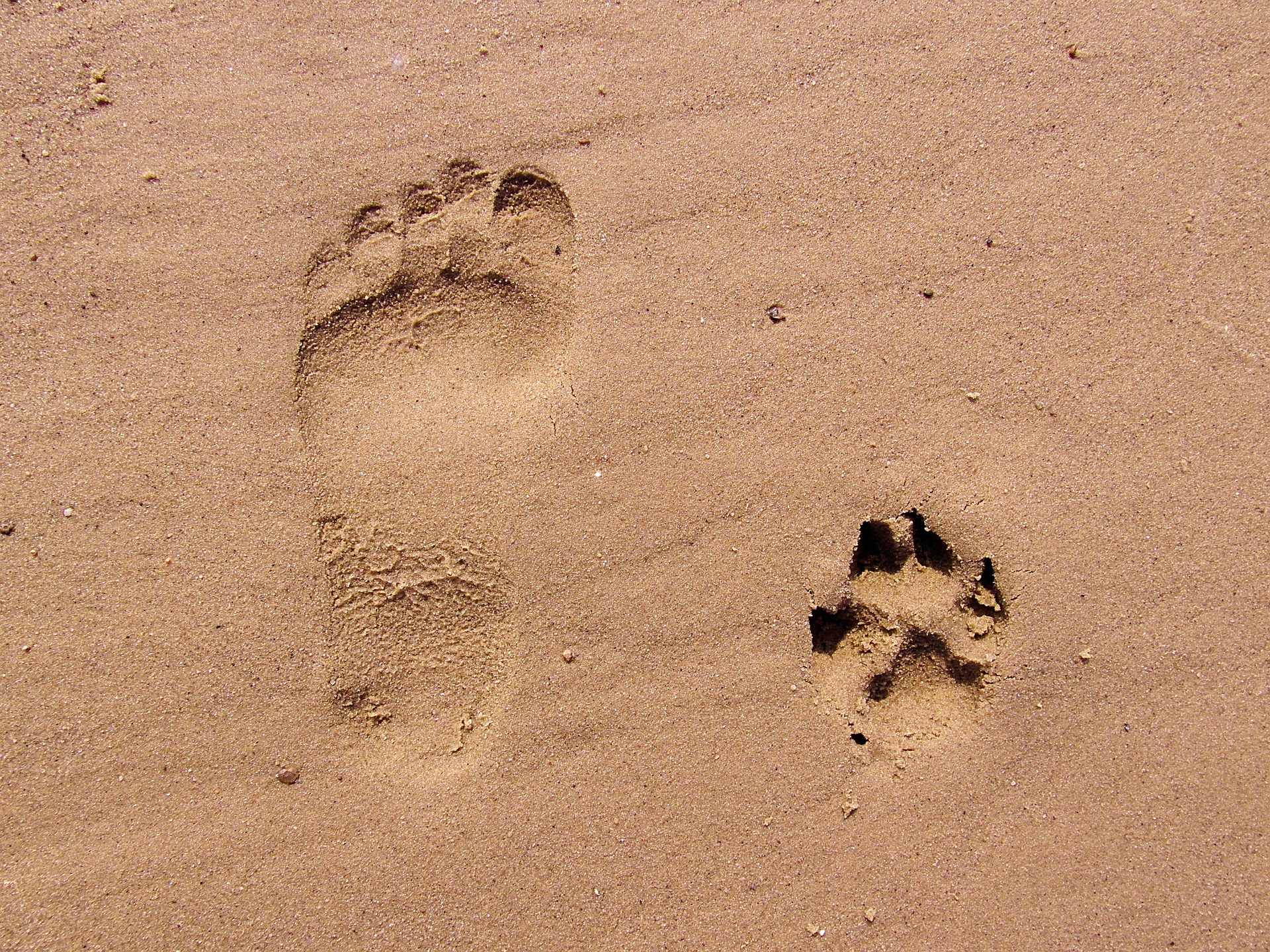 footprint 261337 1920