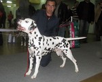 Perdita`s All My Tomorrow